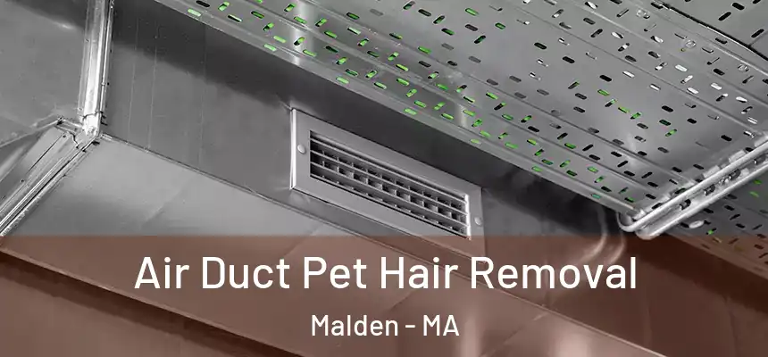  Air Duct Pet Hair Removal Malden - MA
