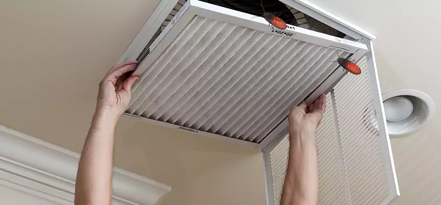Our Insect Removal from Air Ducts Services in Malden, MA