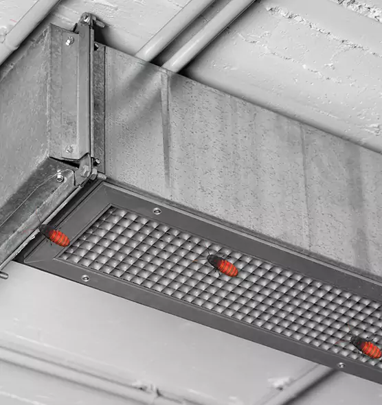 Affordable Insect Removal from Air Ducts in Malden, MA