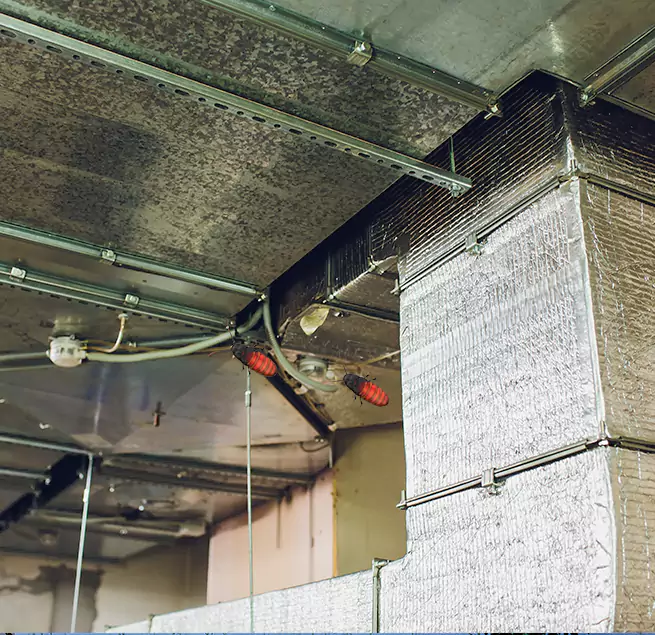 Why Homeowners & Businesses Trust Us in Malden, MA?