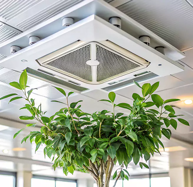 Why Homeowners & Businesses Trust Us in Malden, MA?